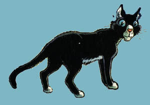 Chat - Broussaille