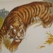 Fresque du tigre mena�ant fait lors du festival de Solli�s 2012