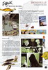 Tour d'horizon planche 5
