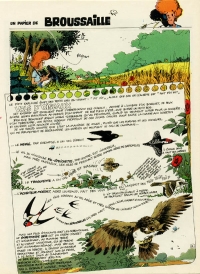 N° 16 - Vols d&#039;oiseaux