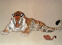 Tigre et chat