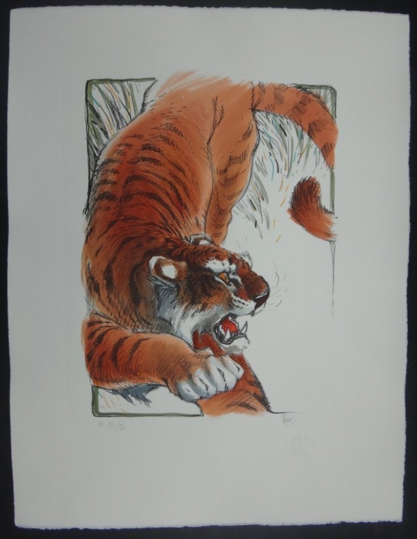 Tigre lithographie sur pierre