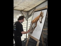 2010-05 - Namur - Réalisation de dessins d'animaux grand format vendus sur place