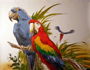 Grand dessin de perroquets fait à Boulogne-sur-Mer en 2011