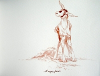 L&#039;oryx jeune