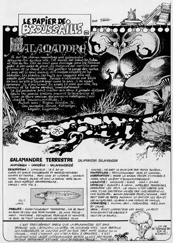 N° 10 - Salamandra